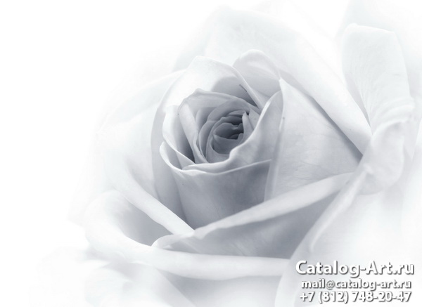 Натяжные потолки с фотопечатью - Белые розы 12